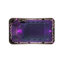 Плавательный спа бассейн Vortex Spas Aquagym PRO Плавательный спа бассейн Vortex Spas Aquagym PRO